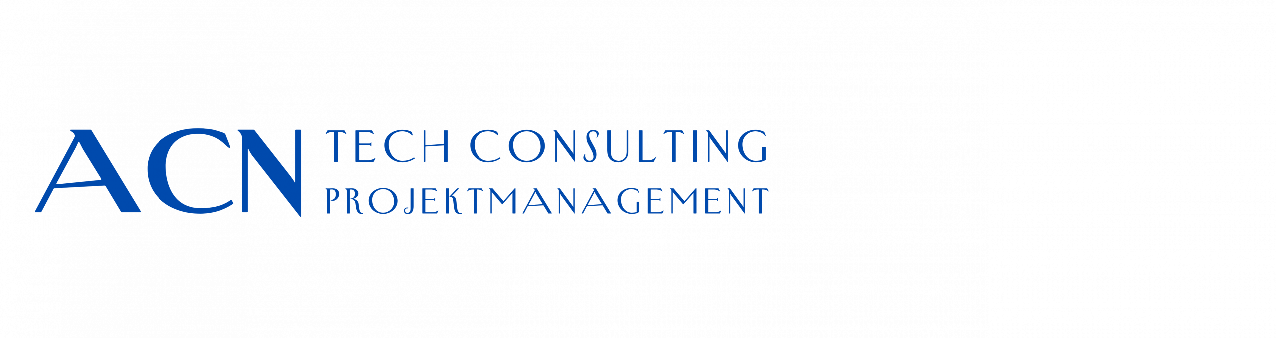 ACN Tech Consulting Projektmanagement